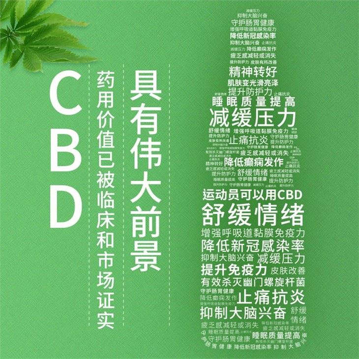 Cbd Oil Pure 99.96% Ingredient 500mg